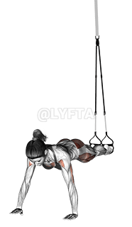 Thumbnail for the video of exercise: Suspension Spiderman Push-up
