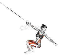 Thumbnail for the video of exercise: Suspension Squat Power Pull