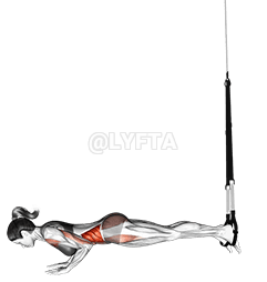 Thumbnail for the video of exercise: Suspension Star Push-up