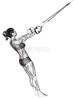 Suspensionis superius Back extende demonstration