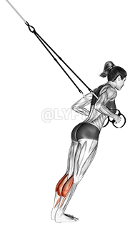 Suspension Calf Raise demonstration