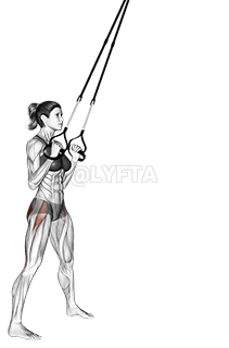 Suspension nga Bisagra ti Hip demonstration