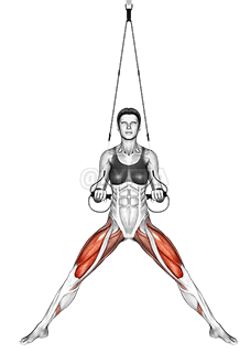 Thumbnail for the video of exercise: Suspension Side Stretch