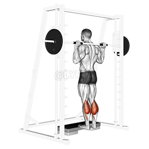 Smith Calf Raise demonstration