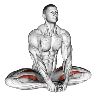 앉은 사타구니 스트레칭 demonstration