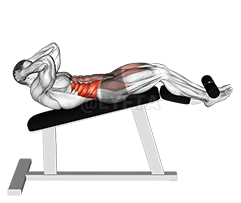 인클라인 트위스트 윗몸일으키기 demonstration