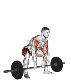 Sumo Deadlift High Pull demonstration