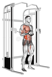 电缆卧式帕洛夫压力机 demonstration