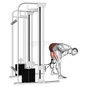 Image of pull through