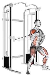 Cable twisting overhead press demonstration