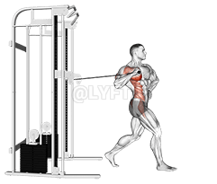 Casadh cábla ina sheasamh cófra cófra lámh amháin demonstration