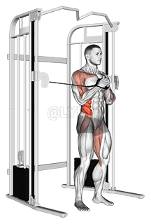 电缆立式帕洛夫压力机 demonstration