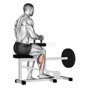 Lever seated one leg calf raise demonstration