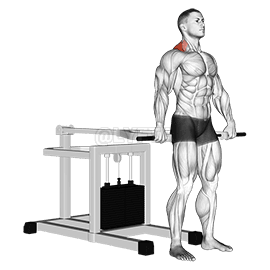 Thumbnail for the video of exercise: Lever Shrug