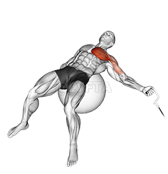 Thumbnail for the video of exercise: ବ୍ୟାୟାମ ବଲରେ କେବୁଲ୍ ଏକ ଆର୍ମ ଫ୍ଲାଏ |