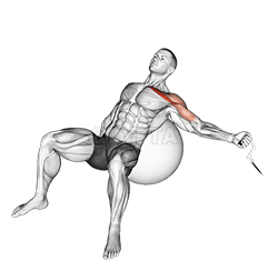 Cabo com inclinação de um braço e mosca na bola de exercícios demonstration