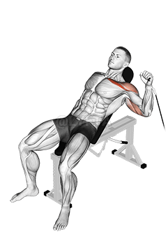 Thumbnail for the video of exercise: Cable One Arm Incline Press