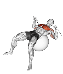 Thumbnail for the video of exercise: Cable Press on Exercise Ball