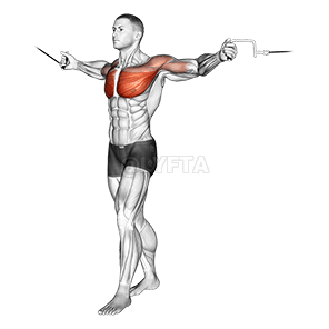 Stovintys tiesūs krosoveriai demonstration