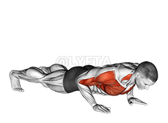 박수 푸시 업 demonstration