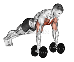 Push Up Dalam demonstration