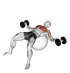 Haltère volant sur ballon d'exercice demonstration