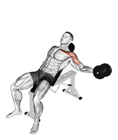 Halteres inclinados com um braço demonstration