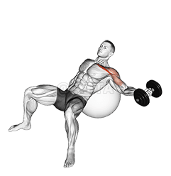 Dumbbell Incline One Arm Fly på treningsball demonstration