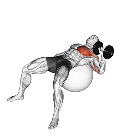 Činka tlak na jednu ruku na cvičení míč demonstration