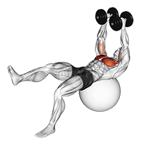 Thumbnail for the video of exercise: Halter een been vlieg op oefenbal