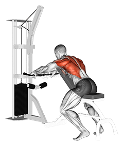 Cable Incline Bench Row demonstration