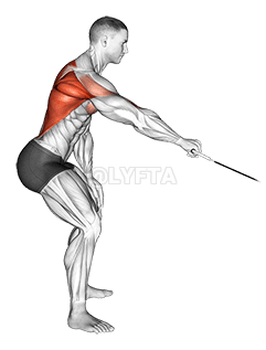 Cable Palm Rotational Row demonstration