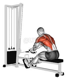 Cable Rope Crossover Seated Row demonstration