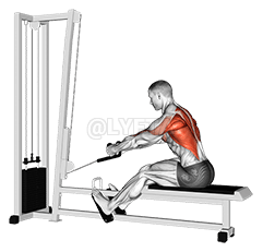 Thumbnail for the video of exercise: Rope Elevated Seated Row