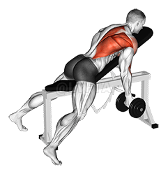 Thumbnail for the video of exercise: Halter Omgekeerde Grip Incline Bank Een Arm Ry