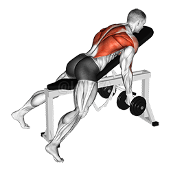 Thumbnail for the video of exercise: Reverse Grip Incline Bench Two Arm Row