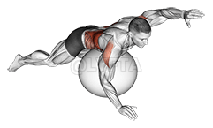 Thumbnail for the video of exercise: Exercise Ball Alternating Arm Ups