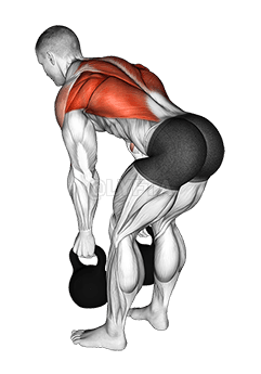 Zweiarmiges Kettlebell-Rudern demonstration