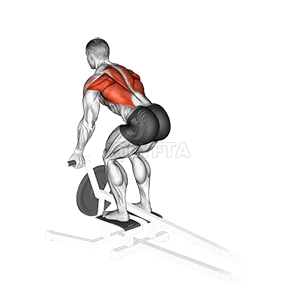 Rangée de poignée inversée à levier en T demonstration