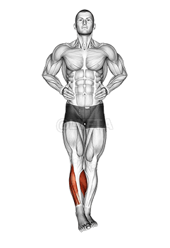 Kotníkové kruhy demonstration