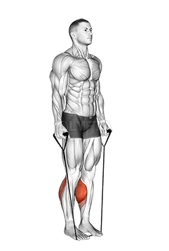 Elevación de pantorrilla con dos piernas con banda - demonstration