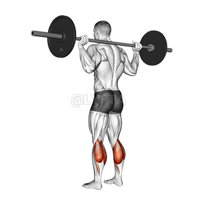 Thumbnail for the video of exercise: तलवत्सः उत्थापयन्तु