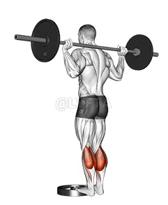 Barbell Dhaabbatee Re'ee Kaasuu demonstration