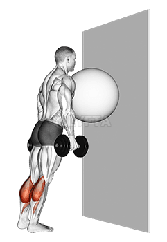 Ushtrimi i topit në mur Ngritja e viçit demonstration