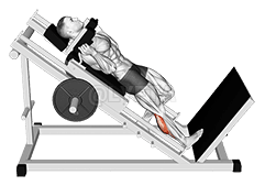 አንድ እግር ጥጃ ያሳድጉ demonstration
