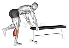 Élévation d'un mollet d'âne sur une jambe demonstration