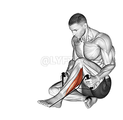 Estiramiento de peroneos demonstration