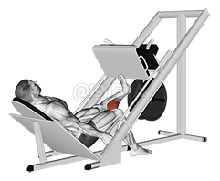 Sled Sen kelen misiden Press on Sen Press demonstration