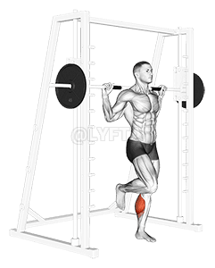 Smith One Leg Floor Calf Raise demonstration