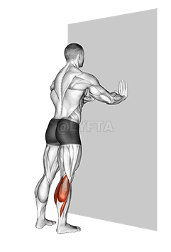 Stojící Gastrocnemius demonstration